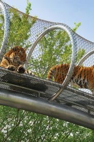 Philadelphia Zoo: A Family-Friendly, Historic Wildlife