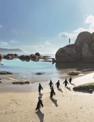 Sun-soaked coasts – South Africa