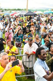 Fest Of Spring Caribbean Food & Music Festival