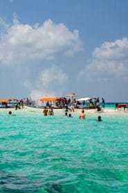 The Safari Blue Zanzibar Trip