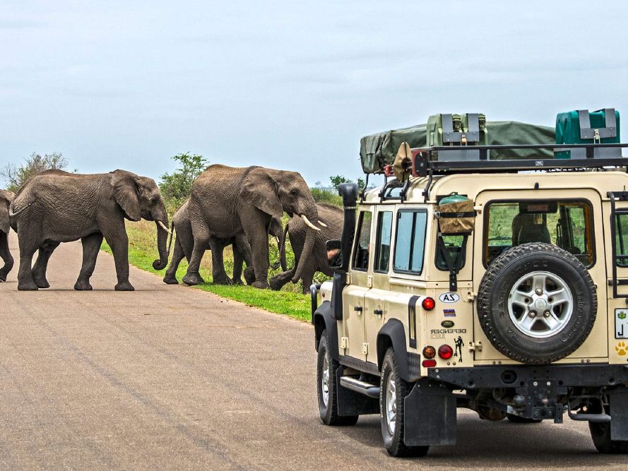 Best Safaris