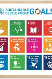 Why Are Sustainable Business Models Important in 2025?