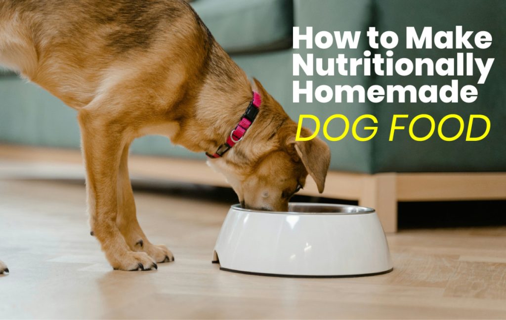 vet-approved dog food, homemade dog food, balanced dog food recipes