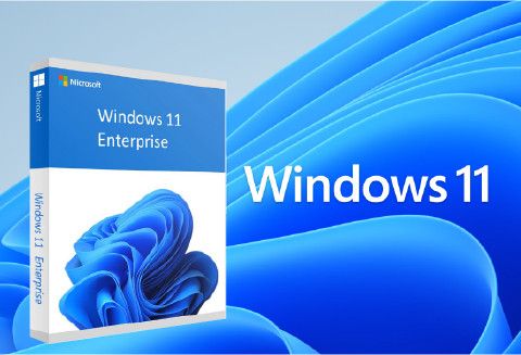 Windows 11 Software