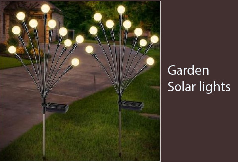 Garden Solar Lights